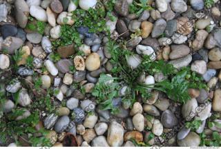 Photo of Various Textures